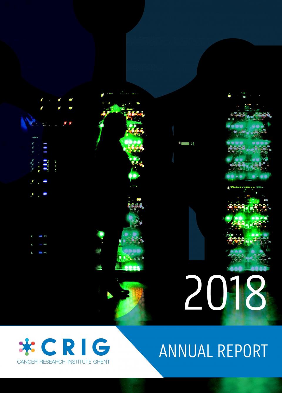 annual report 2018