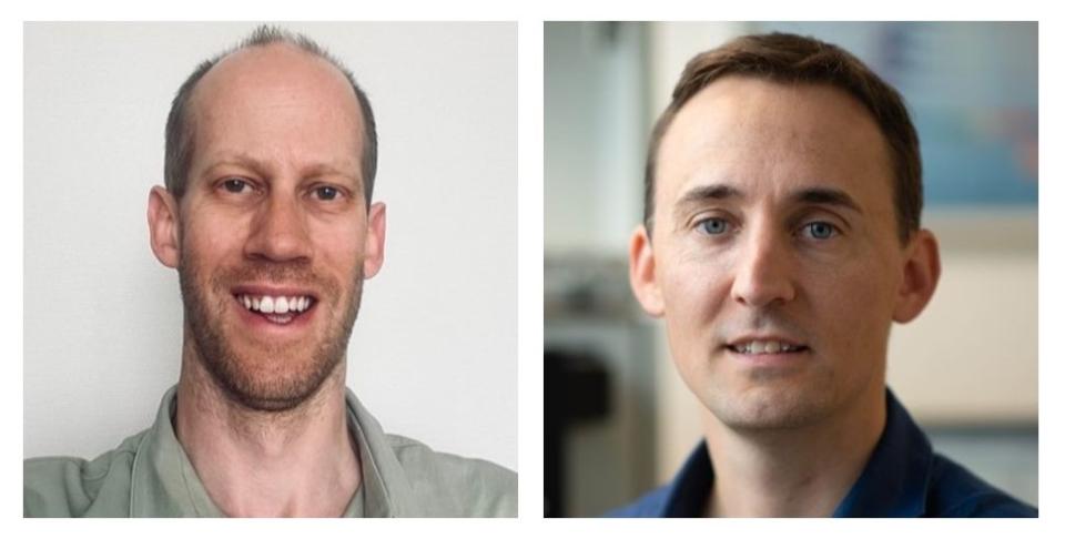 ERC2025 De Geest and Guilliams