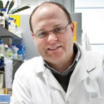 Nico Callewaert