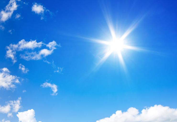zon