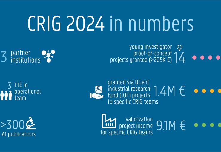 CRIGInNumbers2024