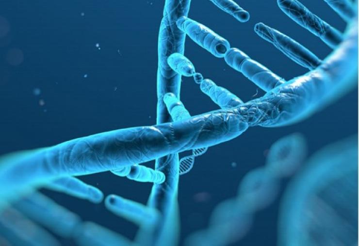 DNA strand 2