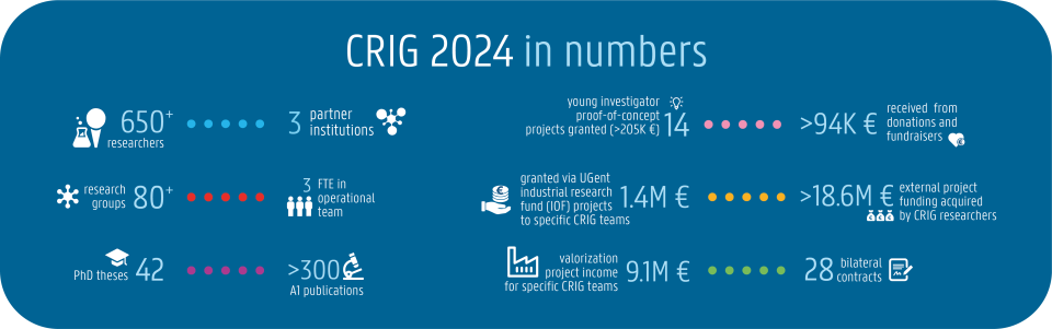 CRIGInNumbers2024