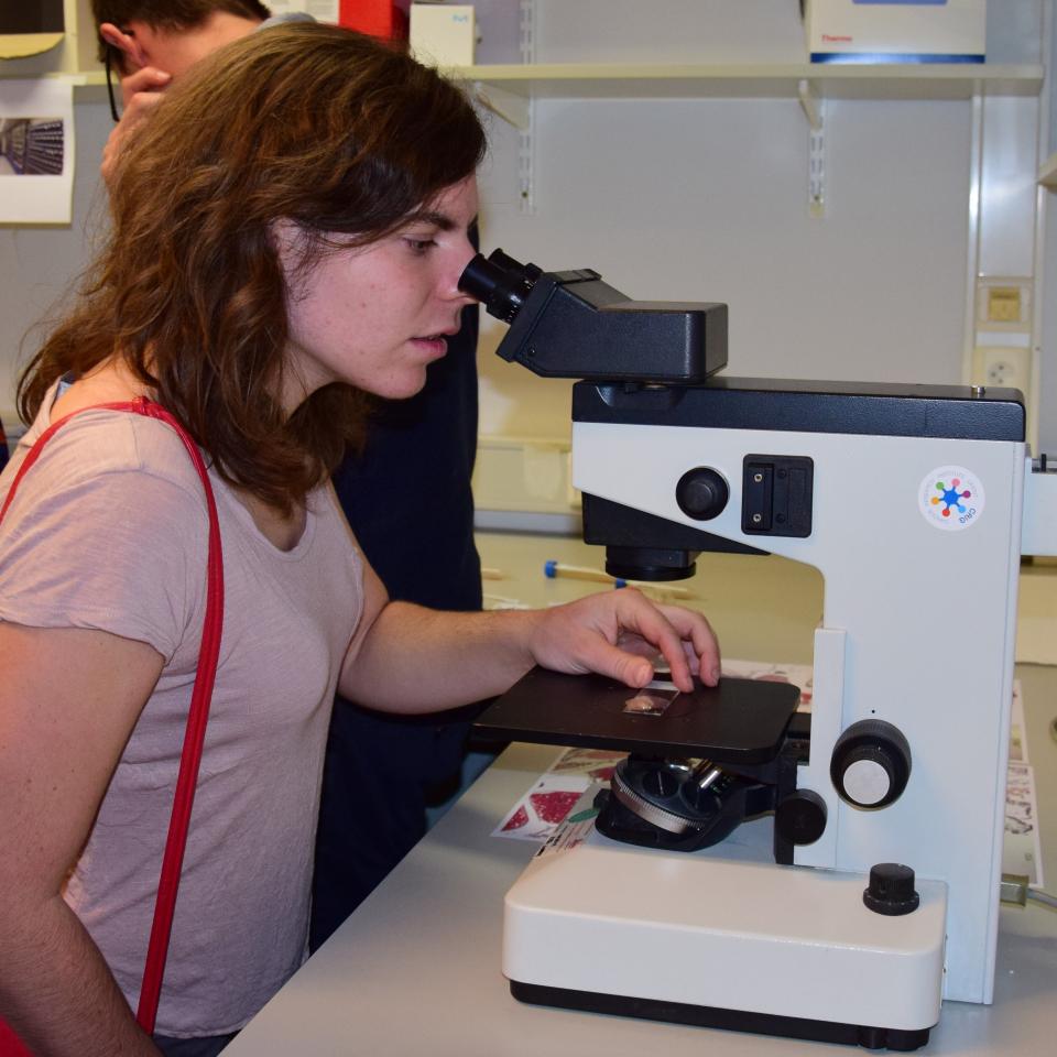DVDWetenschap2018_microscoop